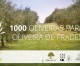 Sessão de Esclarecimento da iniciativa Oliva & Co sobre 1000 Oliveiras para Oliveira de Frades