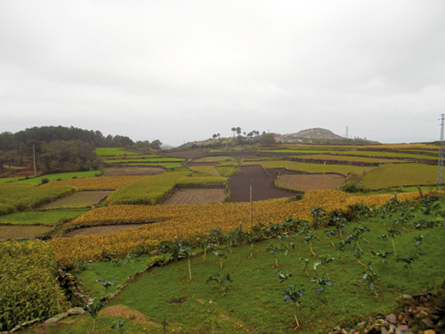 662_Gestosinho_DSCN3066