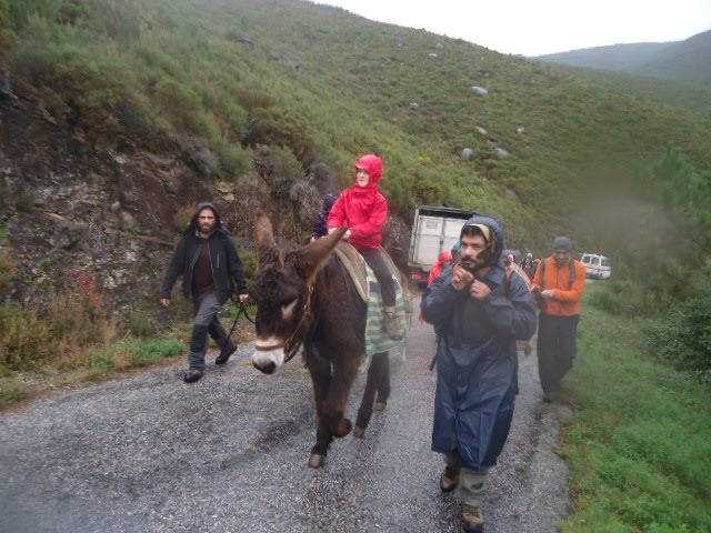 burros