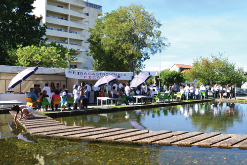 OF_FeiraGastronom-Ficativo-DSC_0803
