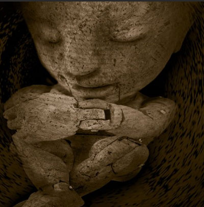 04-08_ViverViriato01