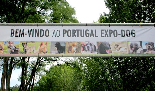 04-09_ExpoDog-01