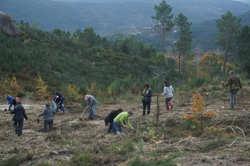 700_sps-plantarportugal-dsc05645